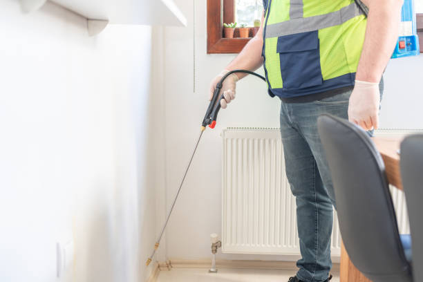 Best Local Pest Control Services  in St Anne, IL